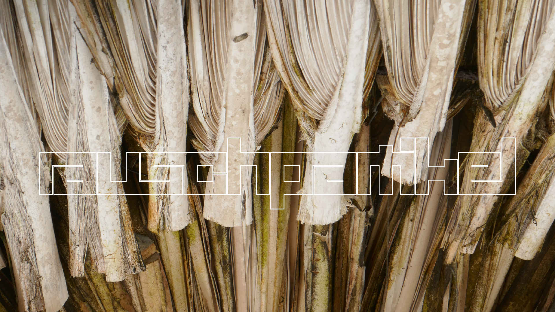 2022-10-29 13 Uhr 27 Playa Kalki (Foto, Video)